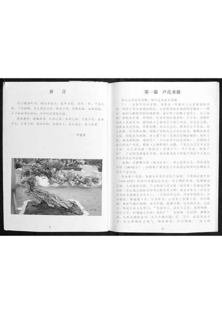 广西卢氏-才西卢氏族谱.pdf电子版插图3