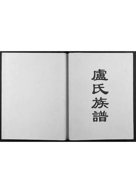 广西卢氏-卢氏族谱.pdf电子版