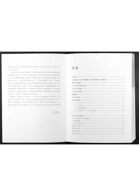 广西卢氏-卢氏族谱.pdf电子版插图3