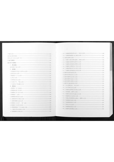 广西卢氏-卢氏族谱.pdf电子版插图4