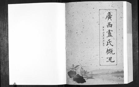 广西卢氏-卢述族谱.pdf电子版插图1