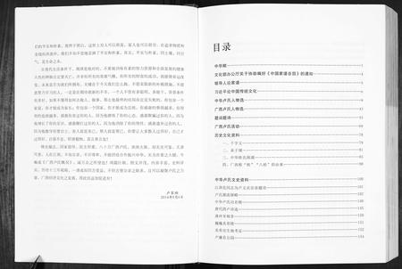 广西卢氏-卢述族谱.pdf电子版插图4