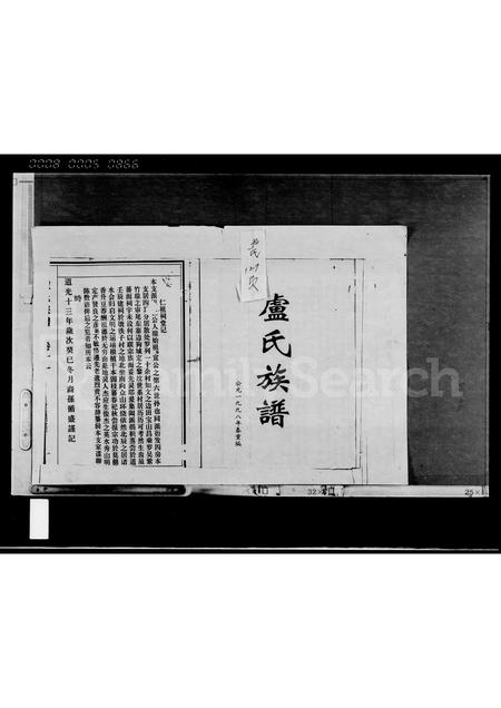 海南卢氏-卢氏族谱 [存卷].pdf电子版插图1