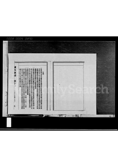 海南卢氏-卢氏族谱 [存卷].pdf电子版插图5