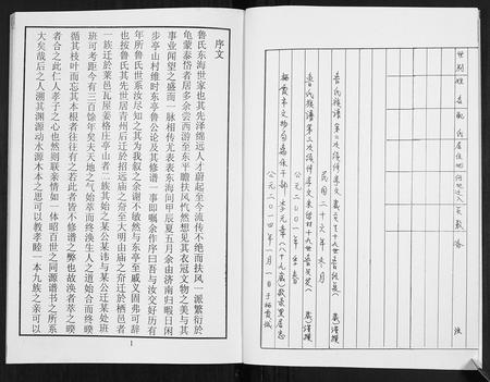 山东鲁氏-鲁氏族谱.pdf电子版插图2