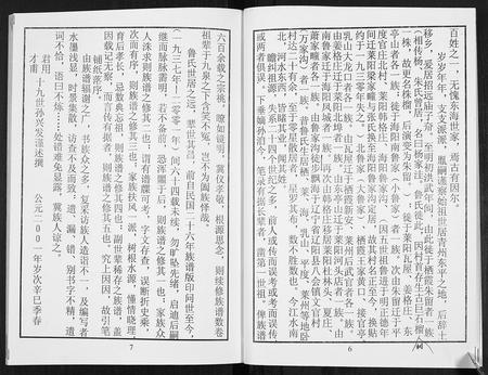 山东鲁氏-鲁氏族谱.pdf电子版插图5