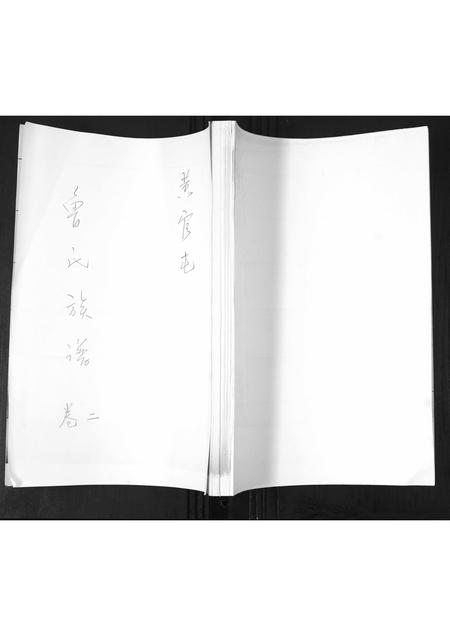 山东鲁氏-鲁氏族谱[2卷].pdf电子版插图