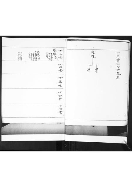 山东鲁氏-鲁氏族谱[2卷].pdf电子版插图3