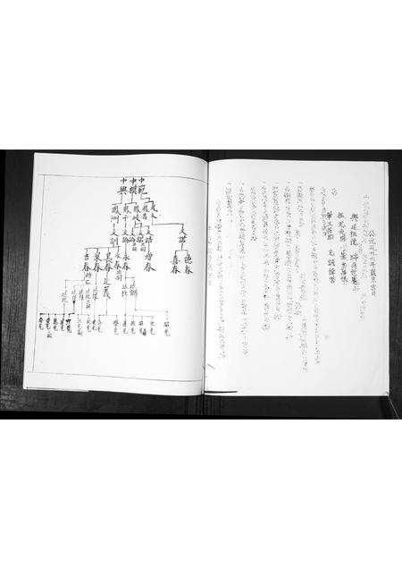 山东鲁氏-黄官屯鲁氏六支.pdf电子版插图2 山东鲁氏-黄官屯鲁氏六支.pdf电子版插图2