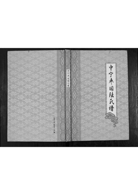 宁夏陆氏-中宁枣园陆氏谱[不分卷].pdf电子版