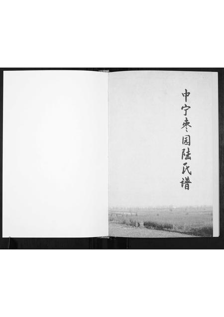 宁夏陆氏-中宁枣园陆氏谱[不分卷].pdf电子版插图1