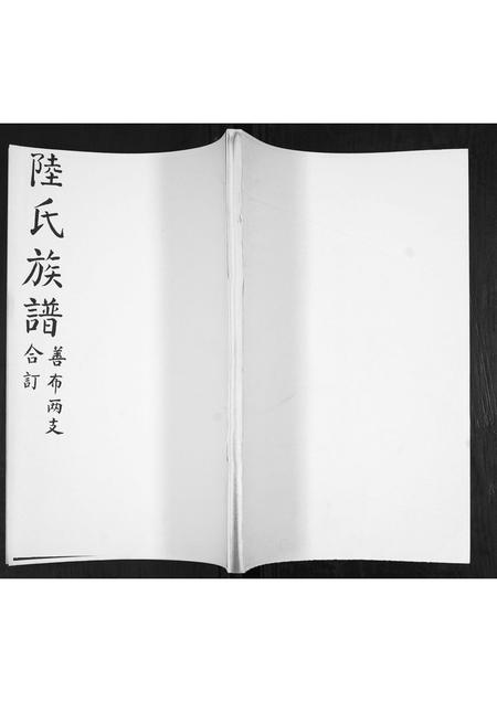 山东陆氏-陆氏族谱.pdf电子版插图 山东陆氏-陆氏族谱.pdf电子版插图