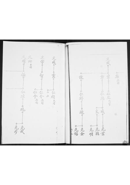 山东陆氏-陆氏族谱.pdf电子版插图2 山东陆氏-陆氏族谱.pdf电子版插图2