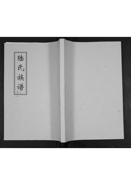 山东陆氏-陆氏族谱.pdf电子版插图 山东陆氏-陆氏族谱.pdf电子版插图