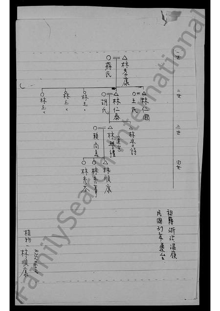4333.[林氏世系图].pdf电子版