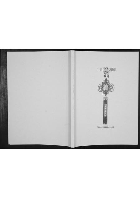 广西陆氏-广西德保陆氏族谱[不分卷].pdf电子版