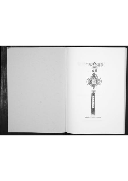 广西陆氏-广西德保陆氏族谱[不分卷].pdf电子版插图1