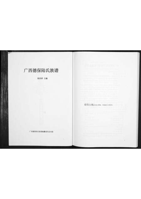 广西陆氏-广西德保陆氏族谱[不分卷].pdf电子版插图2