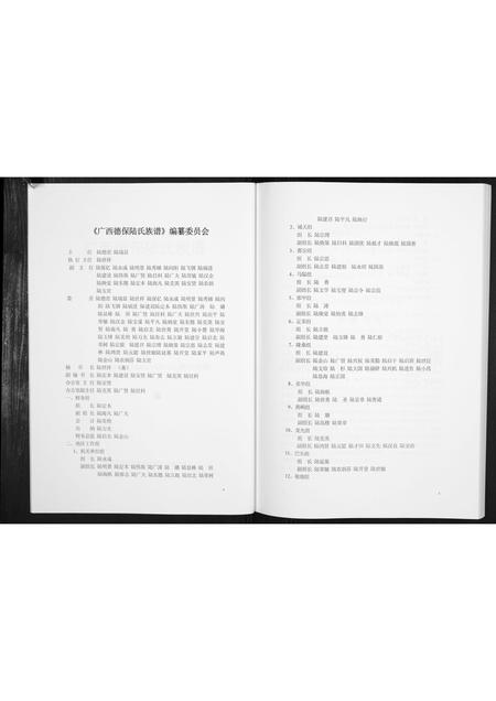 广西陆氏-广西德保陆氏族谱[不分卷].pdf电子版插图3