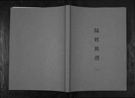 广西陆氏-陆姓族谱.pdf电子版插图