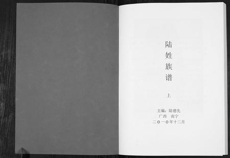 广西陆氏-陆姓族谱.pdf电子版插图1