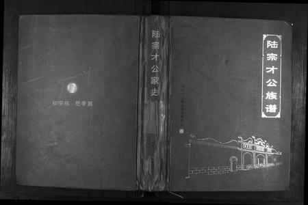 广西陆氏-陆宗才公族谱.pdf电子版插图