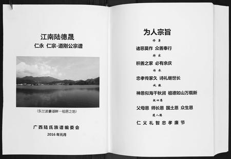 广西陆氏-陆宗才公族谱.pdf电子版插图2