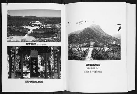 广西陆氏-陆宗才公族谱.pdf电子版插图4