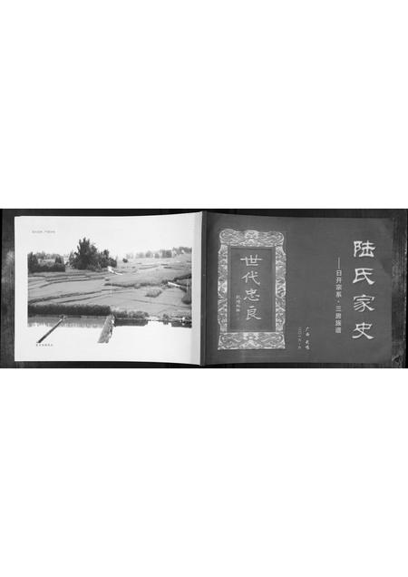 广西陆氏-陆氏家史.pdf电子版插图 广西陆氏-陆氏家史.pdf电子版插图