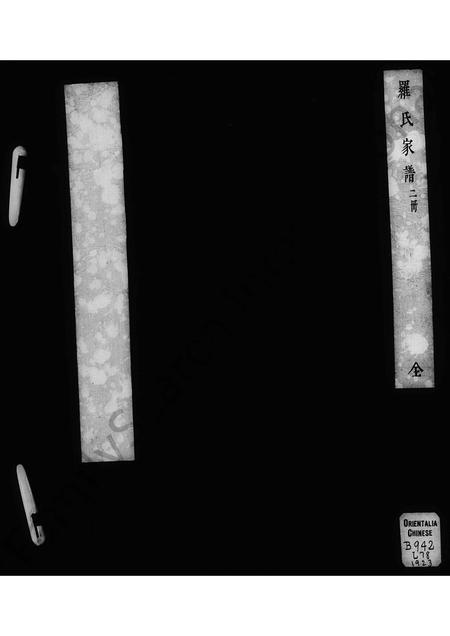 4373.罗氏家谱 [2卷](别名：张家瀛罗氏家谱).pdf电子版