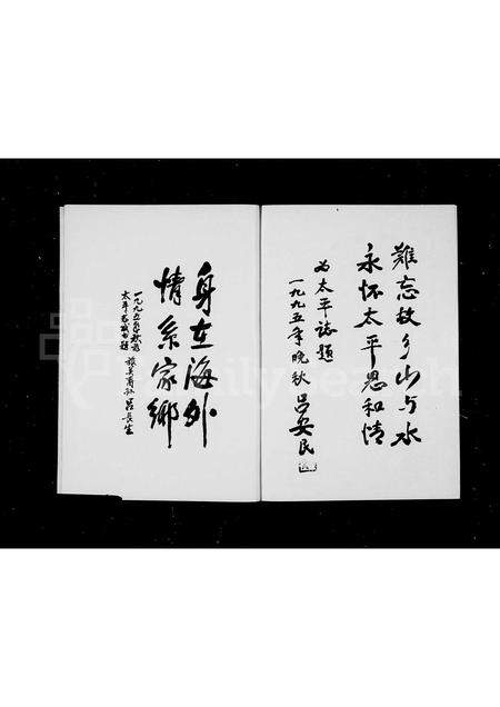 4379.[吕氏]太平志(别名：太平志).pdf电子版插图3