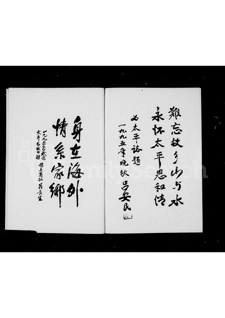 4379.[吕氏]太平志(别名：太平志).pdf电子版插图4