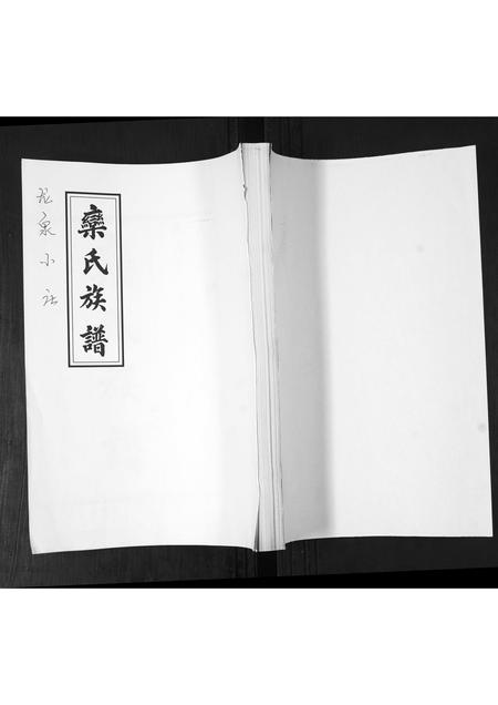 山东栾氏-栾氏族谱.pdf电子版插图 山东栾氏-栾氏族谱.pdf电子版插图