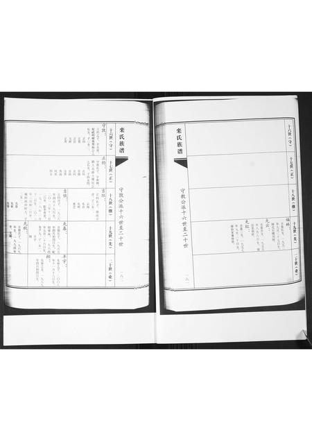 山东栾氏-栾氏族谱.青岛杨埠寨(续修)[2册].pdf电子版插图2