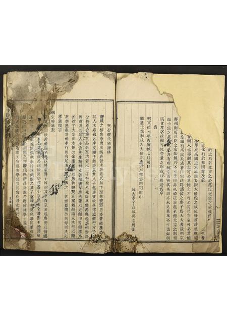 4416.天台潘氏宗谱 [残卷2].pdf电子版插图5