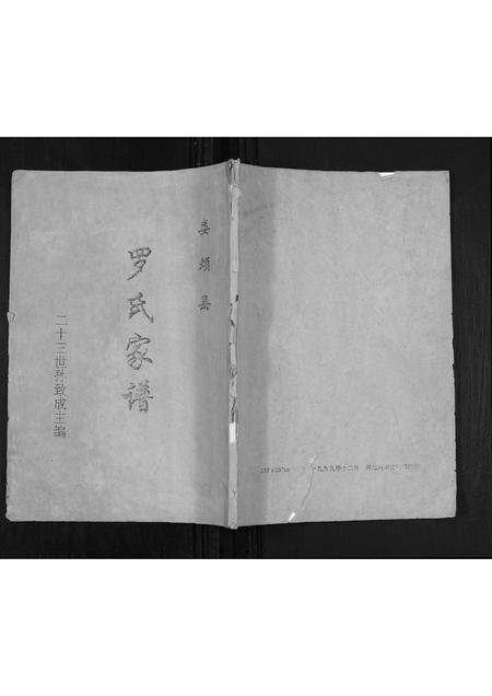 山西罗氏-罗氏家谱[不分卷].pdf电子版插图