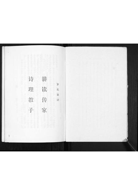 山西罗氏-罗氏家谱[不分卷].pdf电子版插图2