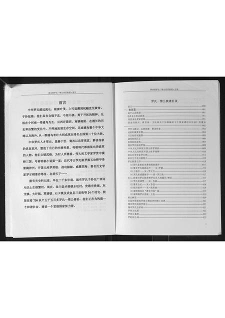 广西罗氏-潭承塘罗氏一惟公世系族谱.pdf电子版插图3