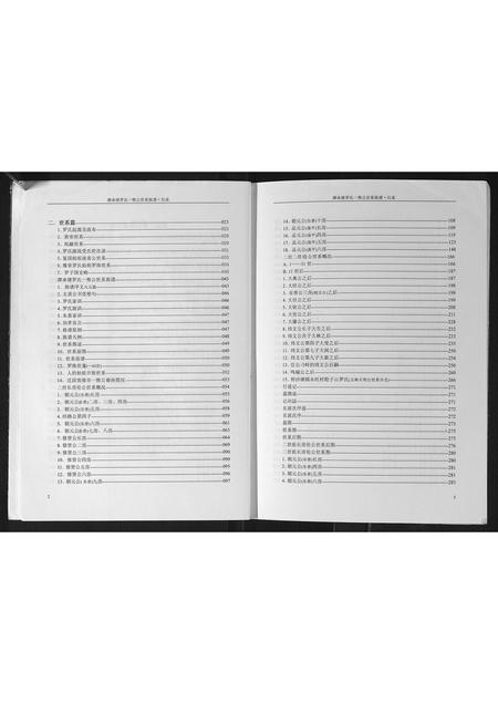 广西罗氏-潭承塘罗氏一惟公世系族谱.pdf电子版插图4