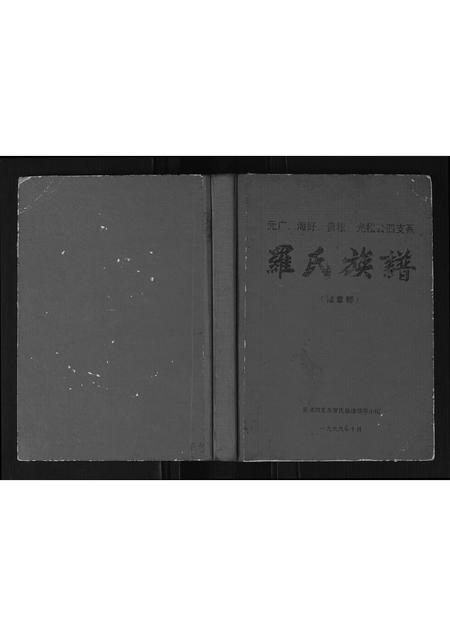 广西罗氏-罗氏族谱.pdf电子版插图