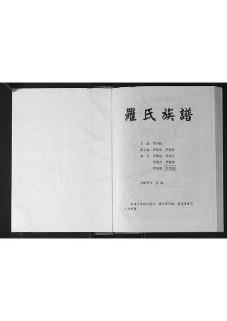 广西罗氏-罗氏族谱.pdf电子版插图1