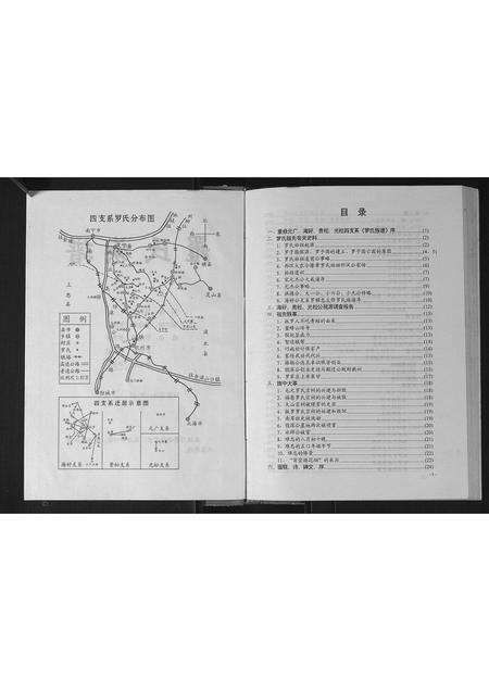 广西罗氏-罗氏族谱.pdf电子版插图2