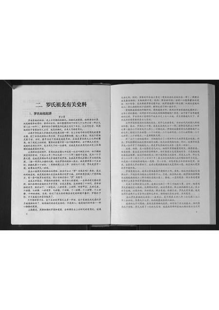 广西罗氏-罗氏族谱.pdf电子版插图5