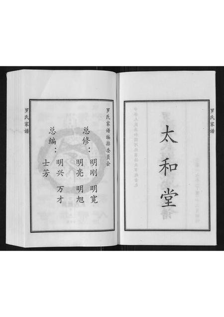 河北罗氏-罗氏家谱.pdf电子版插图3