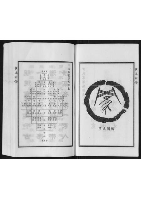 河北罗氏-罗氏家谱.pdf电子版插图4
