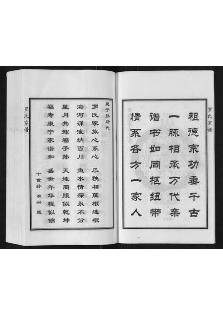 河北罗氏-罗氏家谱.pdf电子版插图5