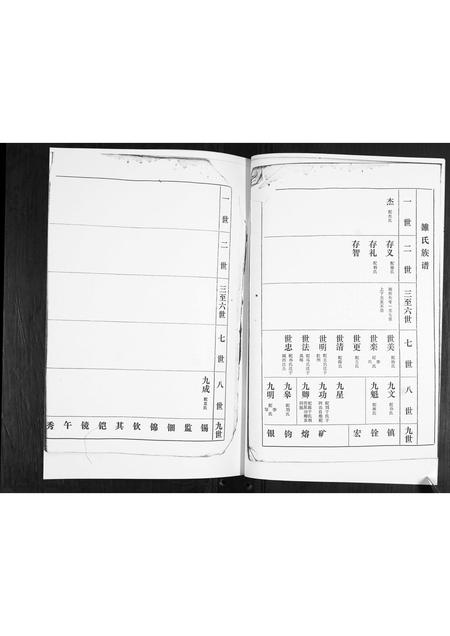 山东雒氏-雒氏族谱.pdf电子版插图5