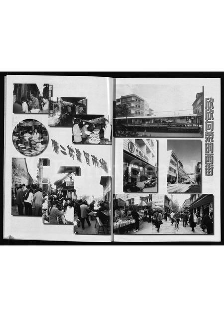 4481.唐先二村志[施氏](别名：Tang Xian Er Cun Zhi).pdf电子版插图4