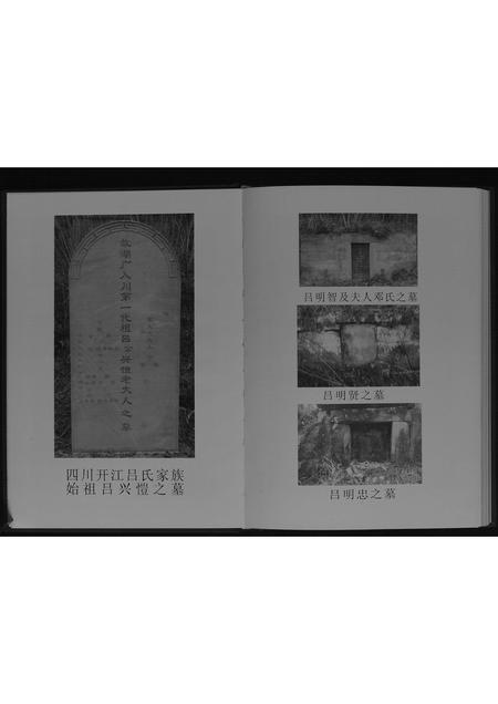 四川吕氏-吕氏族谱[不分卷].pdf电子版插图4