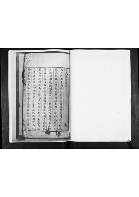 山东吕氏-信村吕氏族谱[不分卷].pdf电子版插图2
